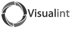 Visualint